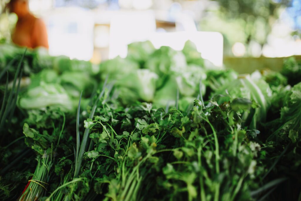 Lechuga, cilantro y albahaca: los vegetales que podrían introducir en México el parásito que ocasiona la “diarrea explosiva”