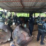 Desmantelan tres laboratorios clandestinos de metanfetamina en Guerrero; aseguran cientos de tambos y reactores