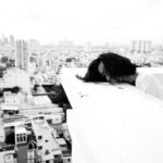 INEGI reporta 8,709 suicidios en México durante 2025; jóvenes muestran la tasa más elevada