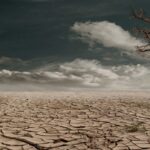 ¡Alerta mundial! El Niño podría provocar sequías extremas e inundaciones devastadoras