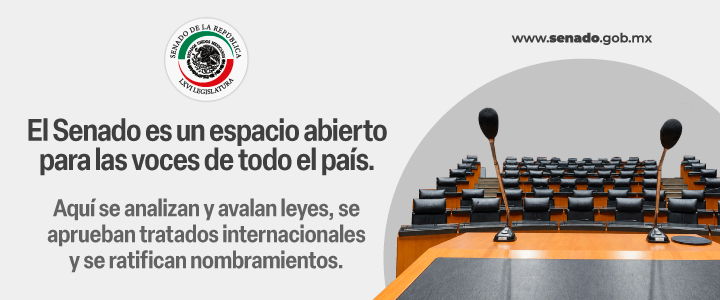 El Senado es un espacio abierto para las voces de todo el país